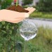 Creative Snail-Shape Automatic Glass Flower Watering Tool Gardening Accessories Size:8 * 14.5 * 28cm   